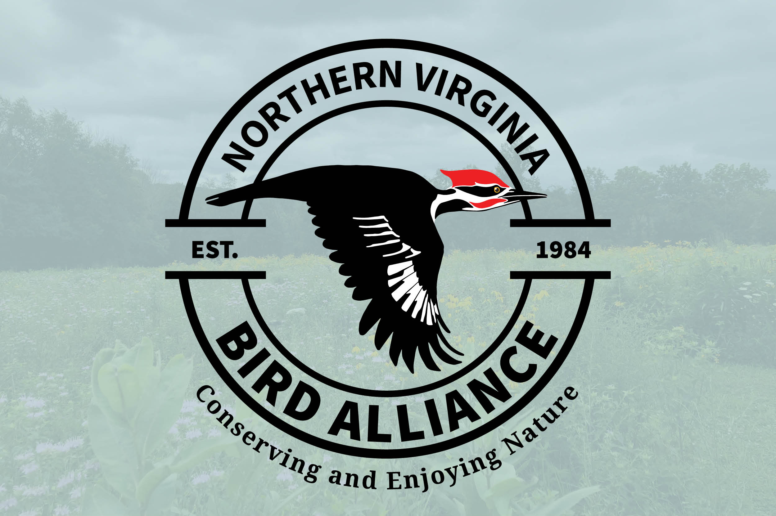 Northern Virginia Bird Alliance